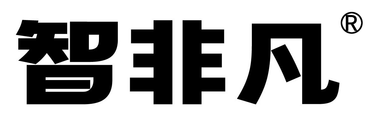 智非凡 ZHI FEI FAN